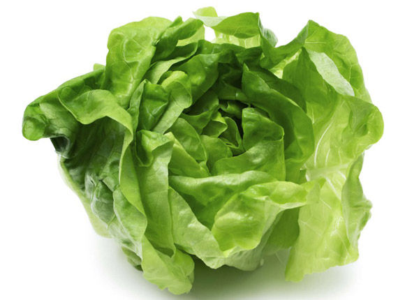 Alface Lisa Orgânica