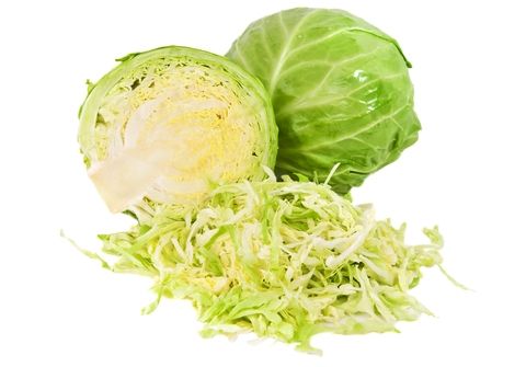 Repolho Verde Orgânico