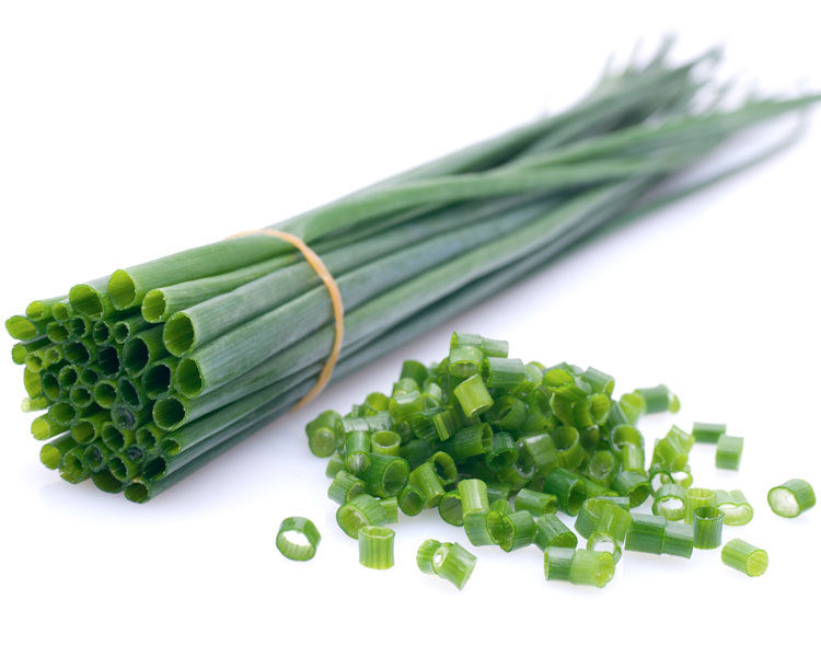 Cebolinha Verde Orgânica