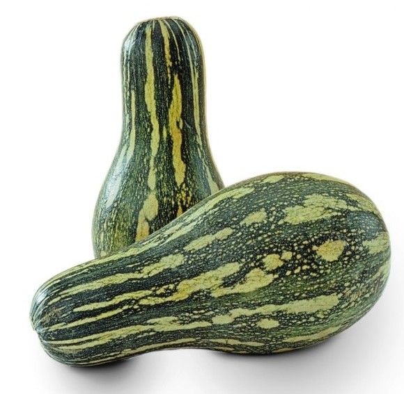 Abóbora Paulista Org kg