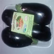 Berinjela Orgânica