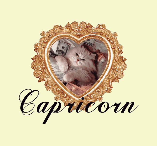 adesivo zodiac capricorn mundo lolita adesivo zodiac capricorn mundo lolita