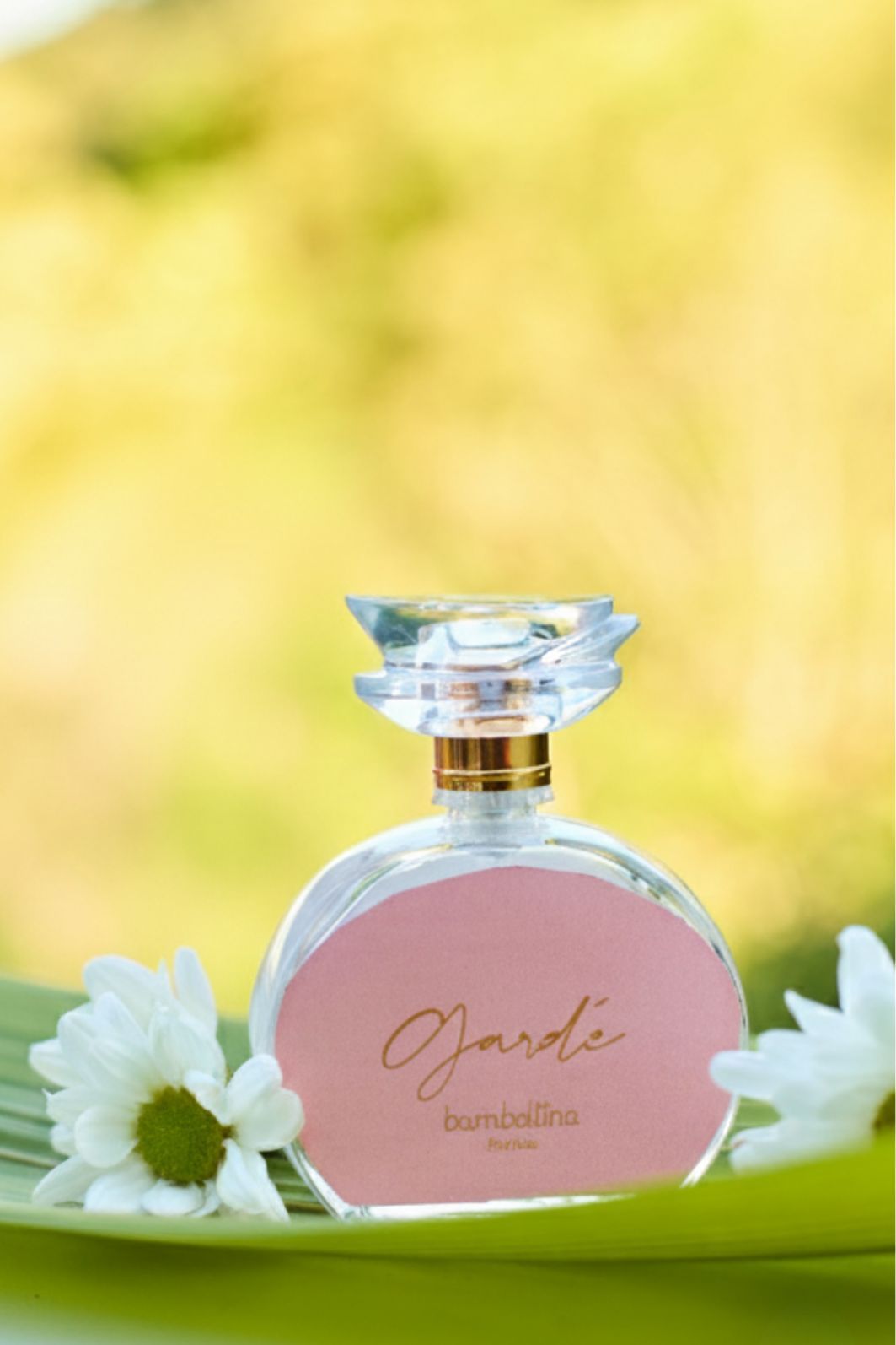 Colônia bambollina gardé Colônia bambollina gardé