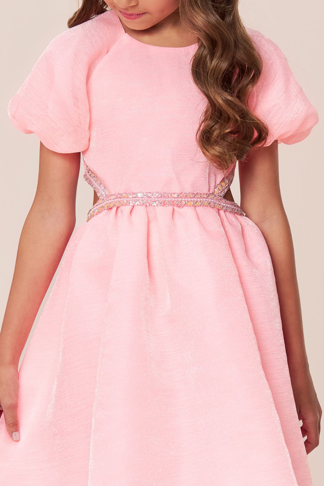 Vestido de organza Vestido de organza