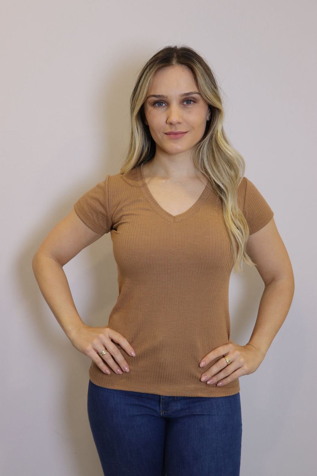 Blusa Lzt Ribana Gola V Feminina Cor Caramelo Blusa Lzt Ribana Gola V Feminina Cor Caramelo