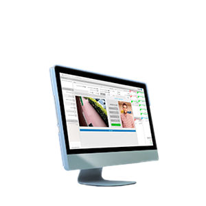 SITUATOR BASE - VIDEO + ACESSO- SEVENTH