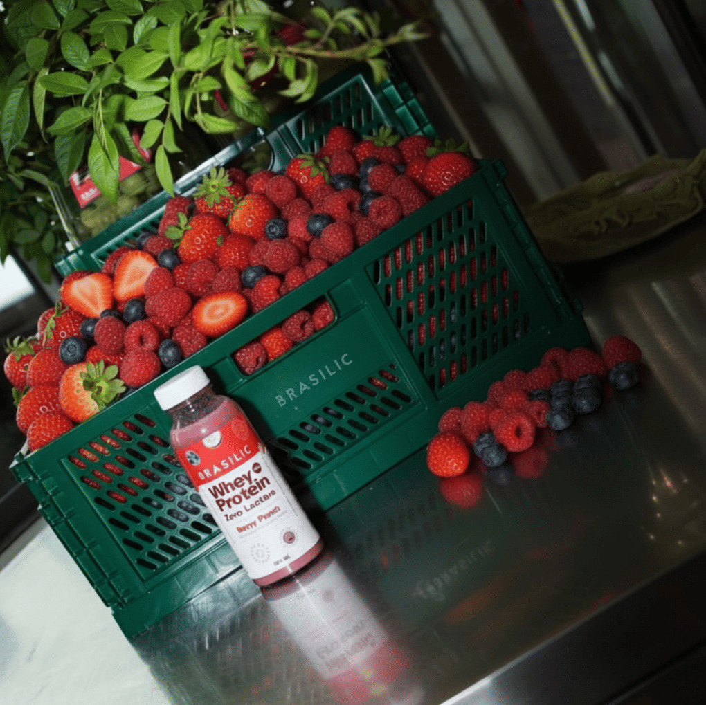 Whey Protein Concentrado Zero Lactose Frutas Vermelhas Berry Punch Garrafinha Whey Protein Concentrado Zero Lactose Frutas Vermelhas Berry Punch Garrafinha