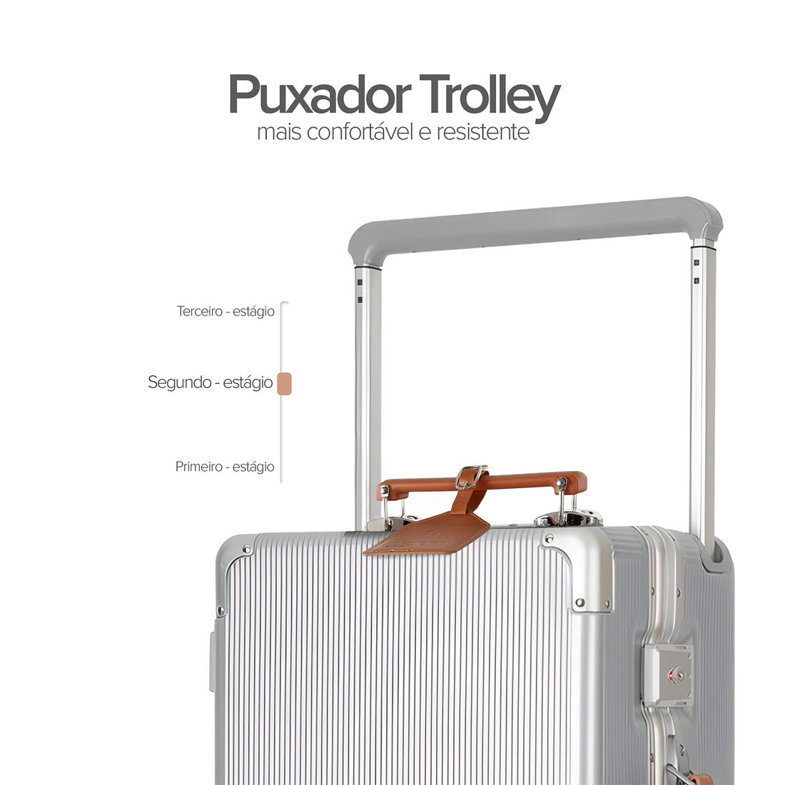 Mala de Viagem Pequena de Bordo 10 kg em Policarbonato Tóquio Maloa Prata