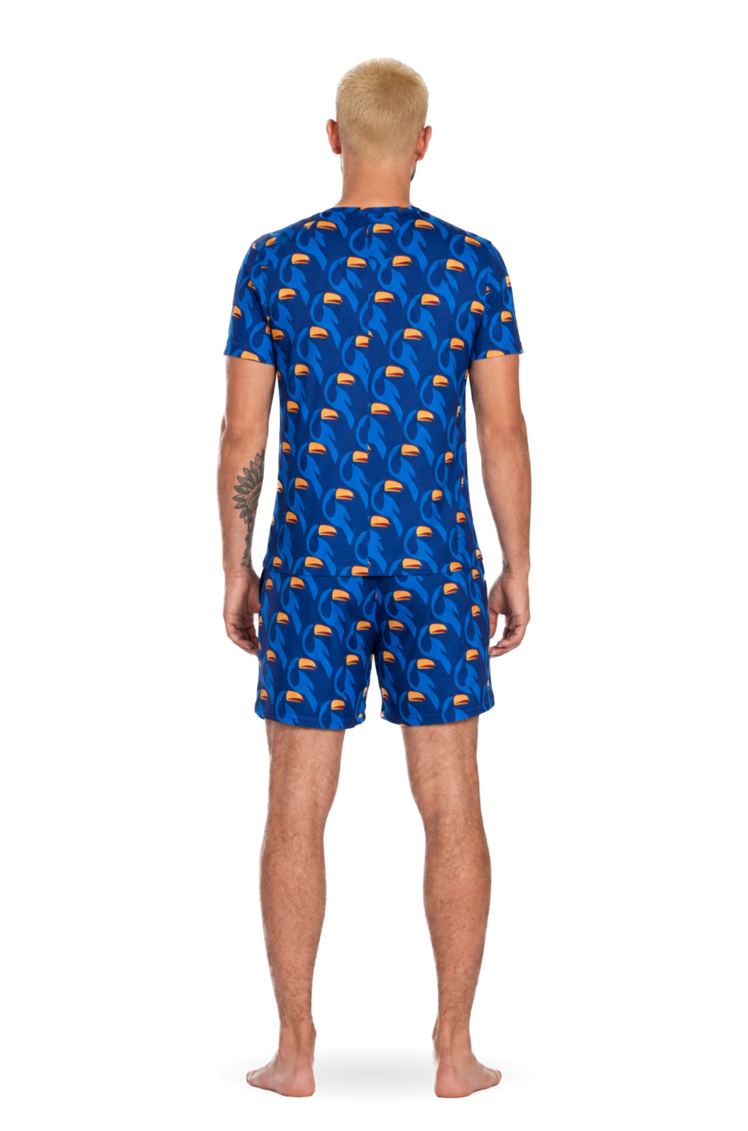 Pijama Masculino Adulto Gola V Estampado Tucanos Rapport Vetor