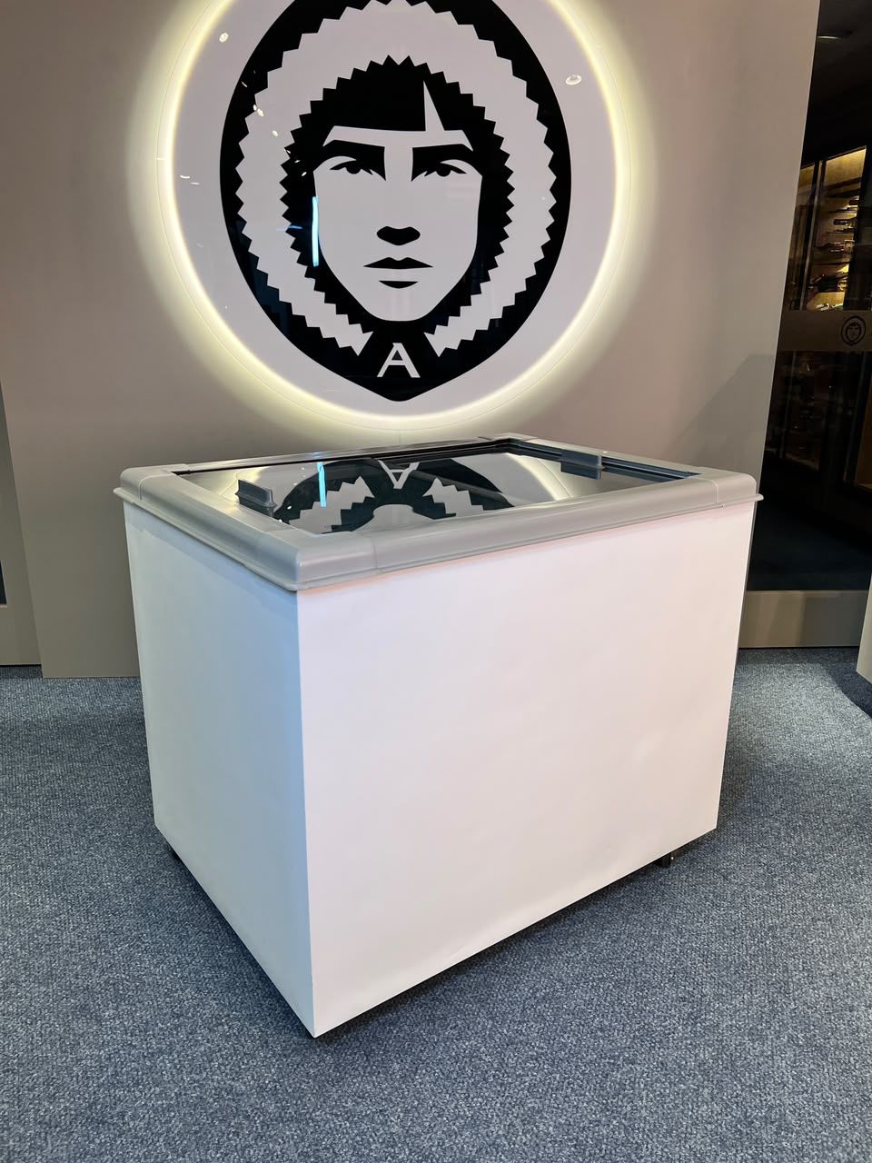 CONGELADOR FREEZER EXPOSITOR VITRINE ECO 250 .E. 220V CINZA CAP EQUIV 310 LT - R290 CONGELADOR FREEZER EXPOSITOR VITRINE ECO 250 .E. 220V CINZA CAP EQUIV 310 LT - R290