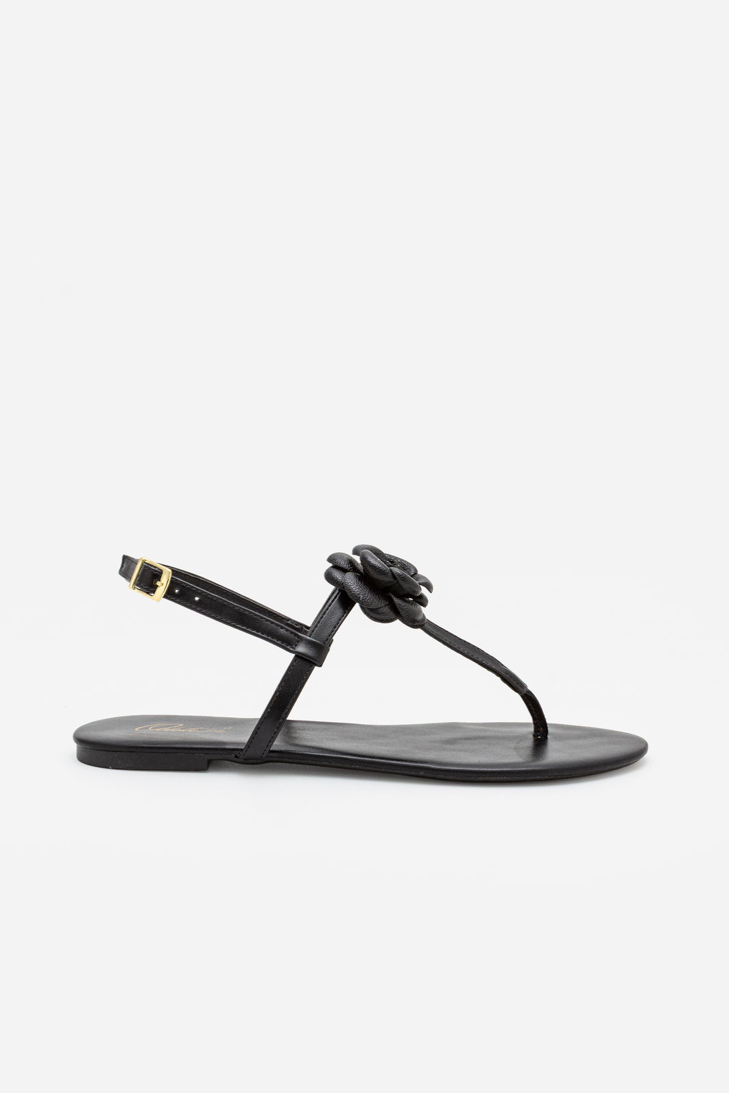 Rasteira Minimalista Com Flor Delicada Preto Rasteira Minimalista Com Flor Delicada Preto