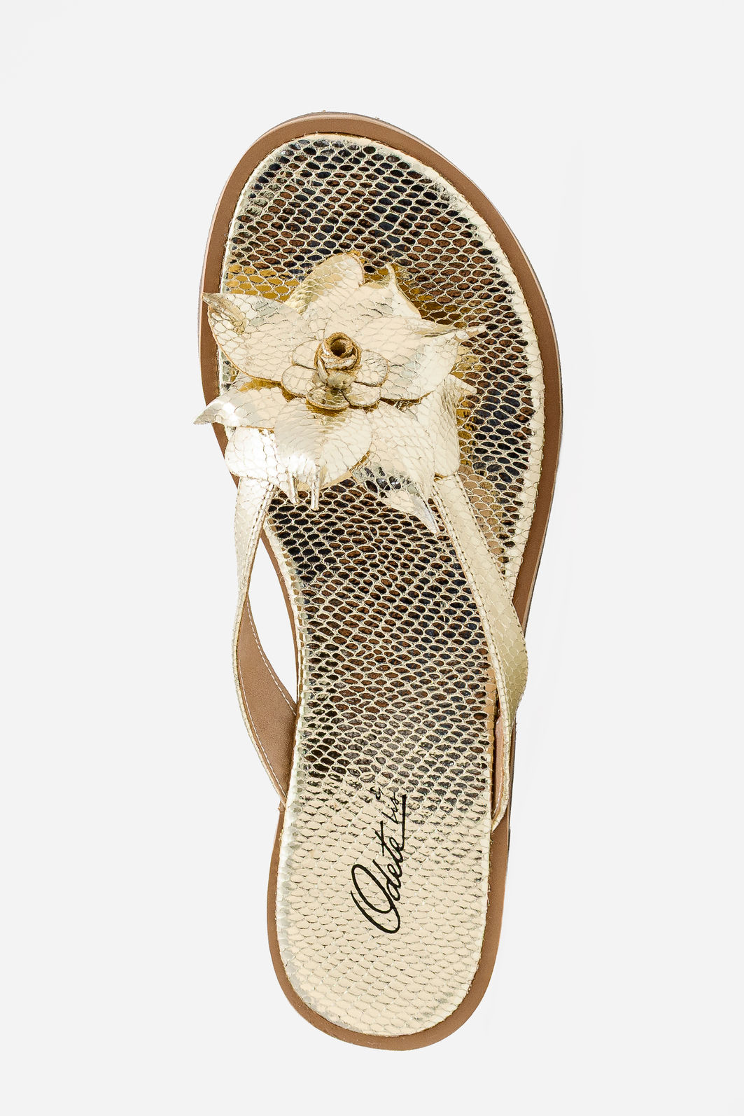 Rasteira Com Flor Ouro