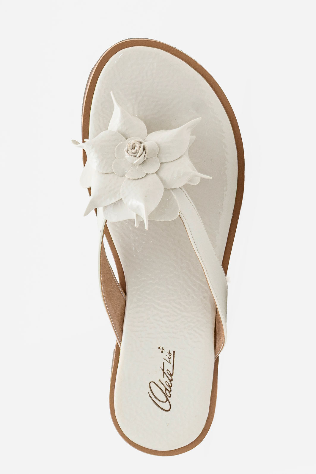 Rasteira Com Flor Branca Rasteira Com Flor Branca