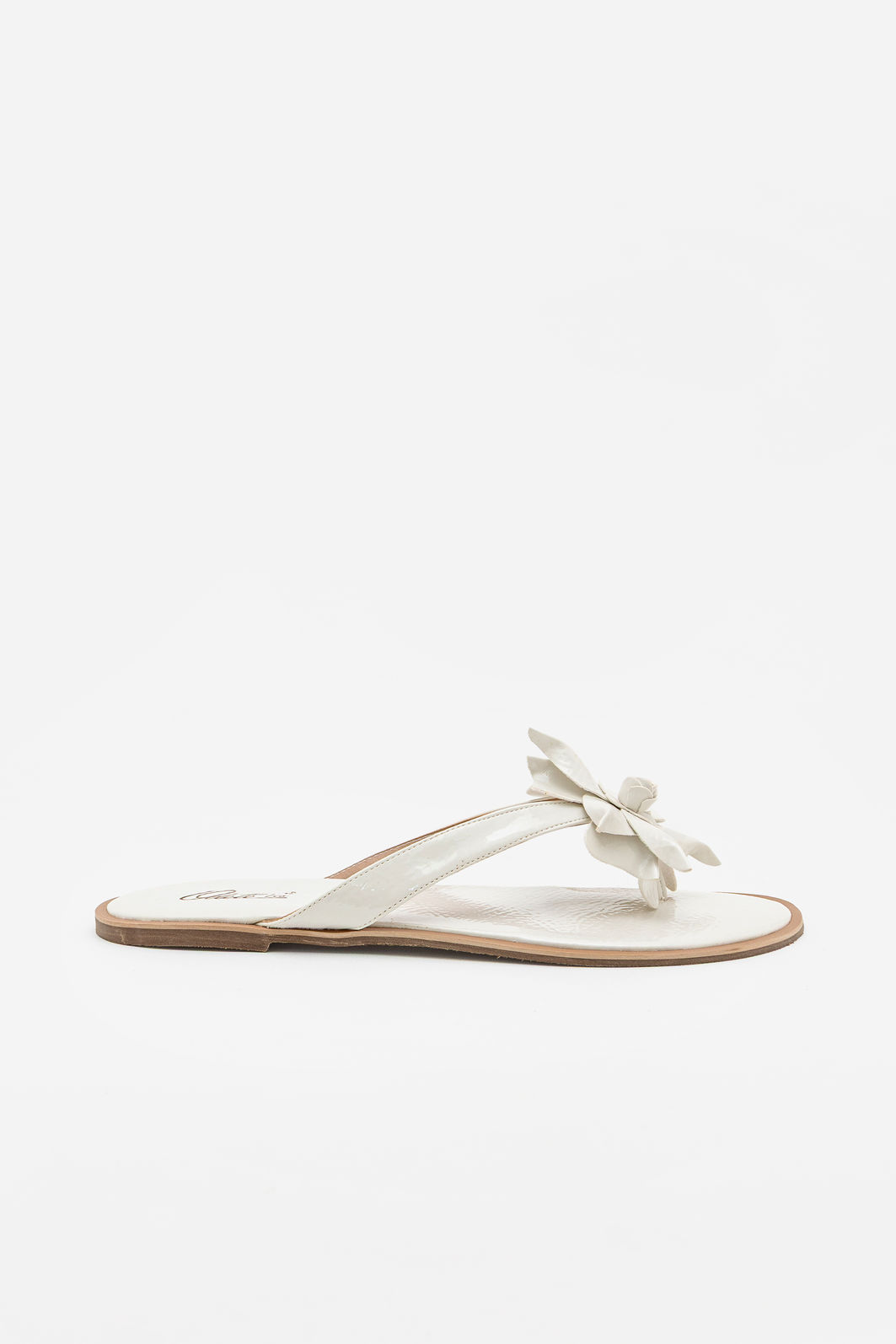 Rasteira Com Flor Branca Rasteira Com Flor Branca