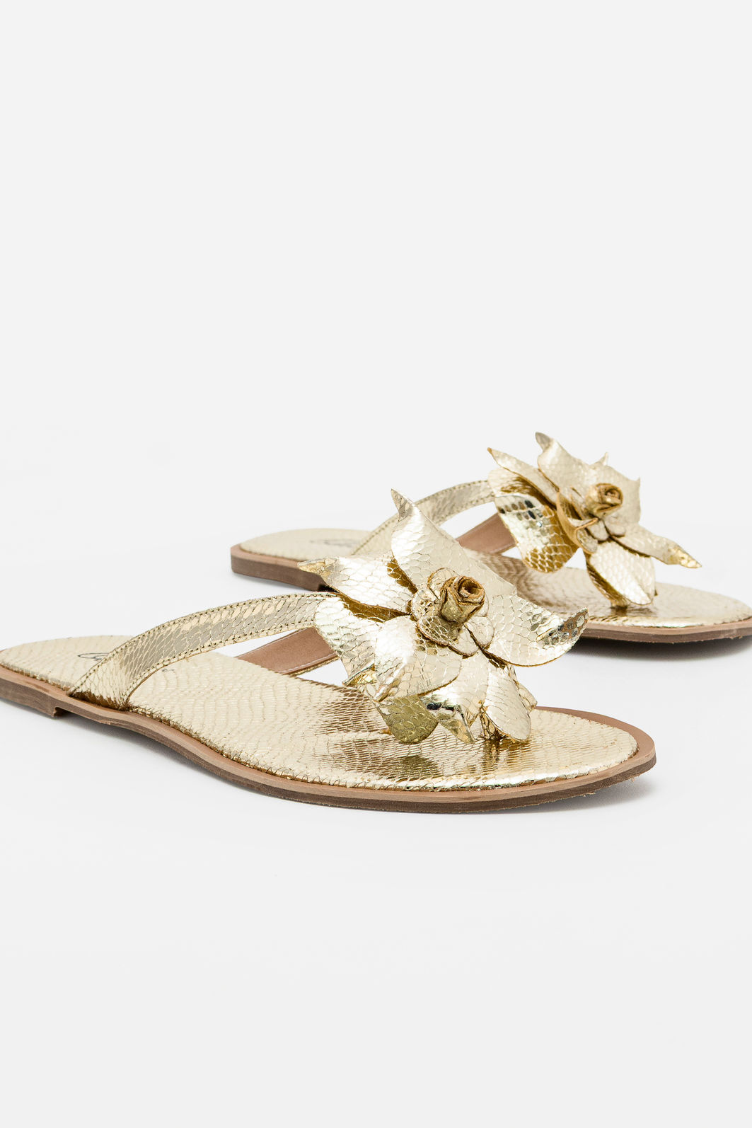 Rasteira Com Flor Ouro