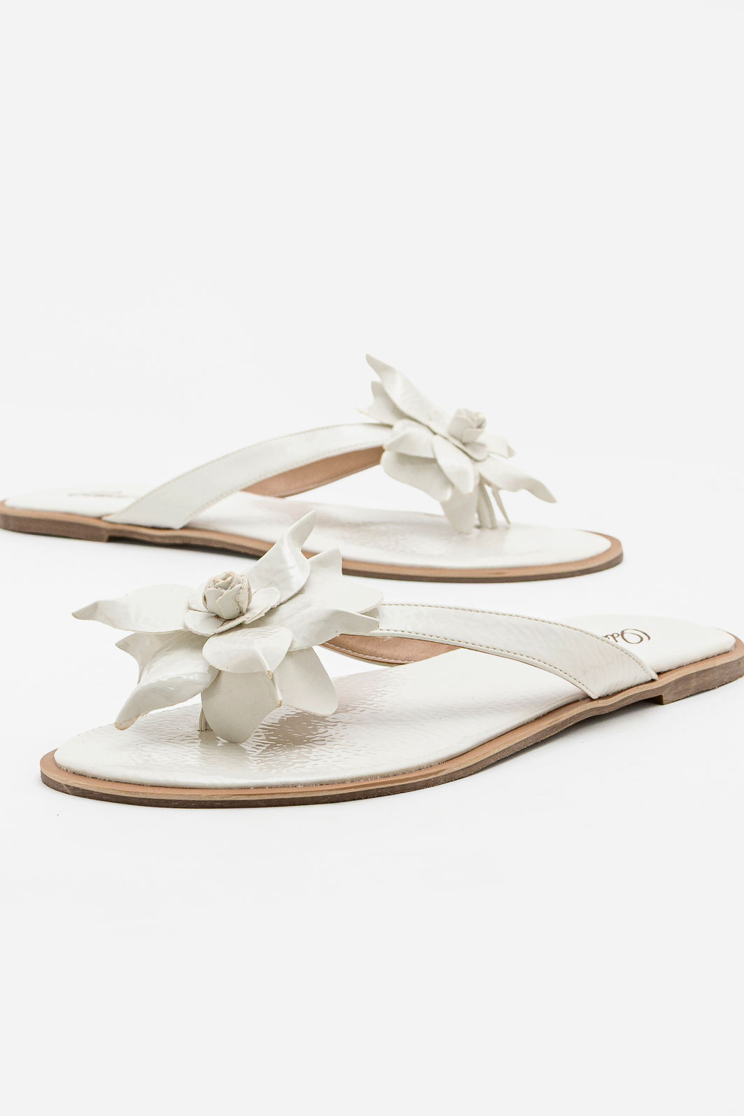 Rasteira Com Flor Branca Rasteira Com Flor Branca