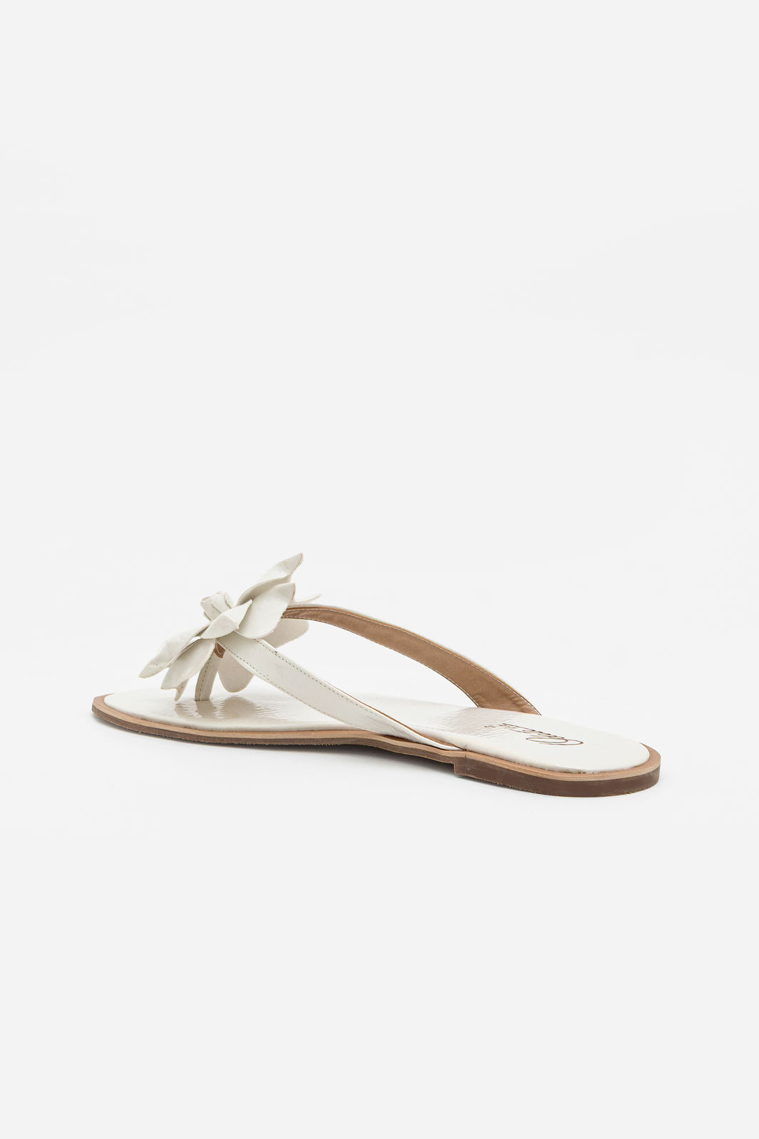 Rasteira Com Flor Branca Rasteira Com Flor Branca