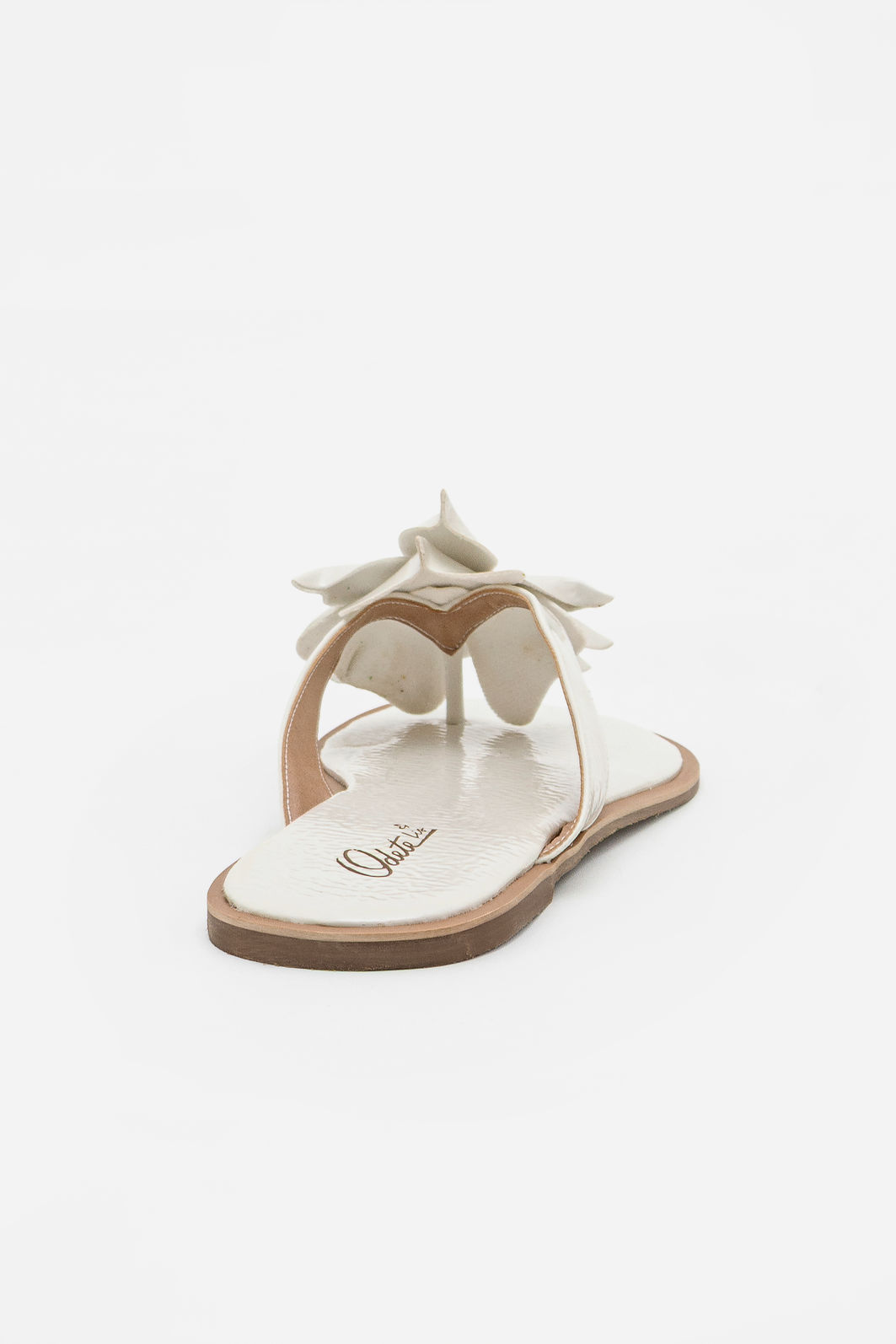 Rasteira Com Flor Branca Rasteira Com Flor Branca