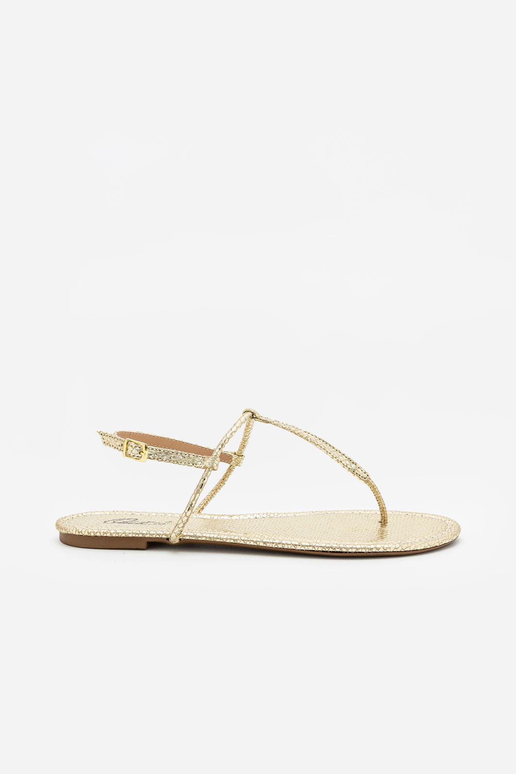 Rasteira Minimalista Ouro Rasteira Minimalista Ouro