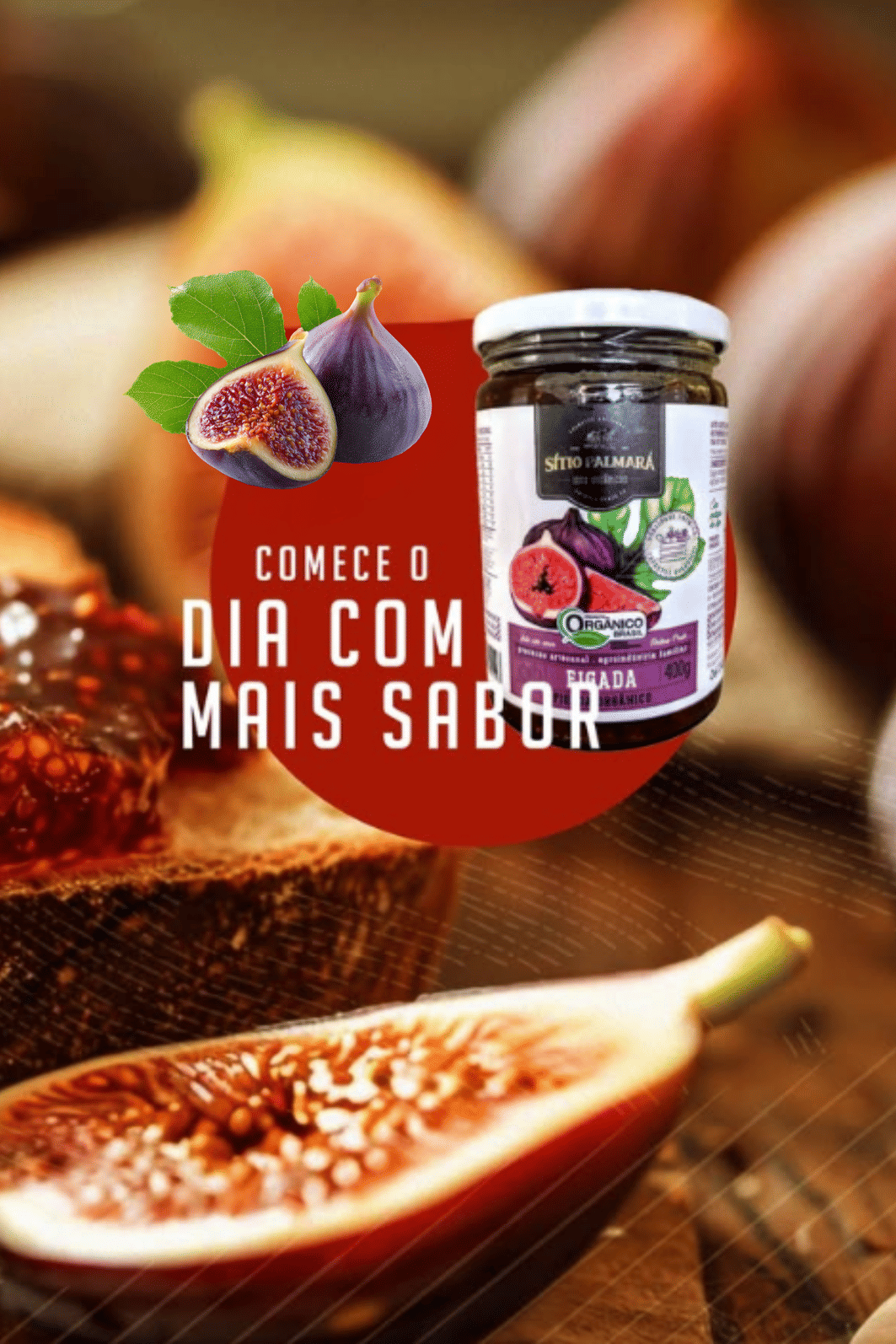 Geleia de Figo Orgânico – 400g