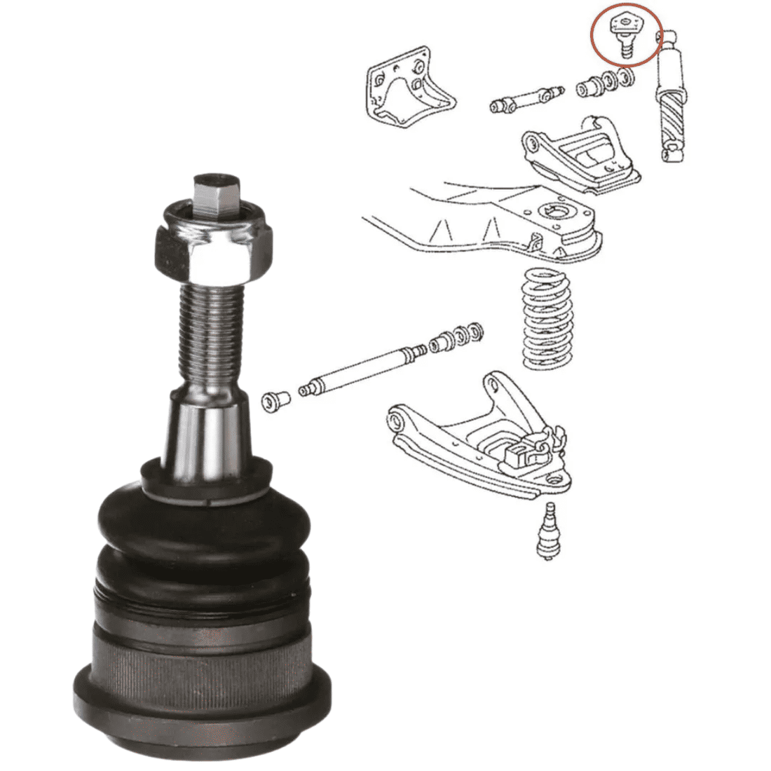 Pivô Suspensão Dodge Ram 2500 4x4 2003 a 2023 1500 4x4 2003 a 2013 Pivô Suspensão Dodge Ram 2500 4x4 2003 a 2023 1500 4x4 2003 a 2013