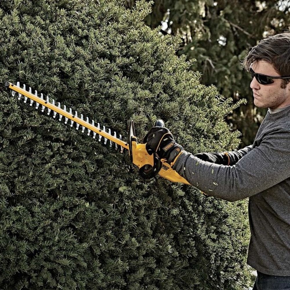 Aparador de Cerca Viva 22" Sem Bateria DCHT820B-B3 DeWalt