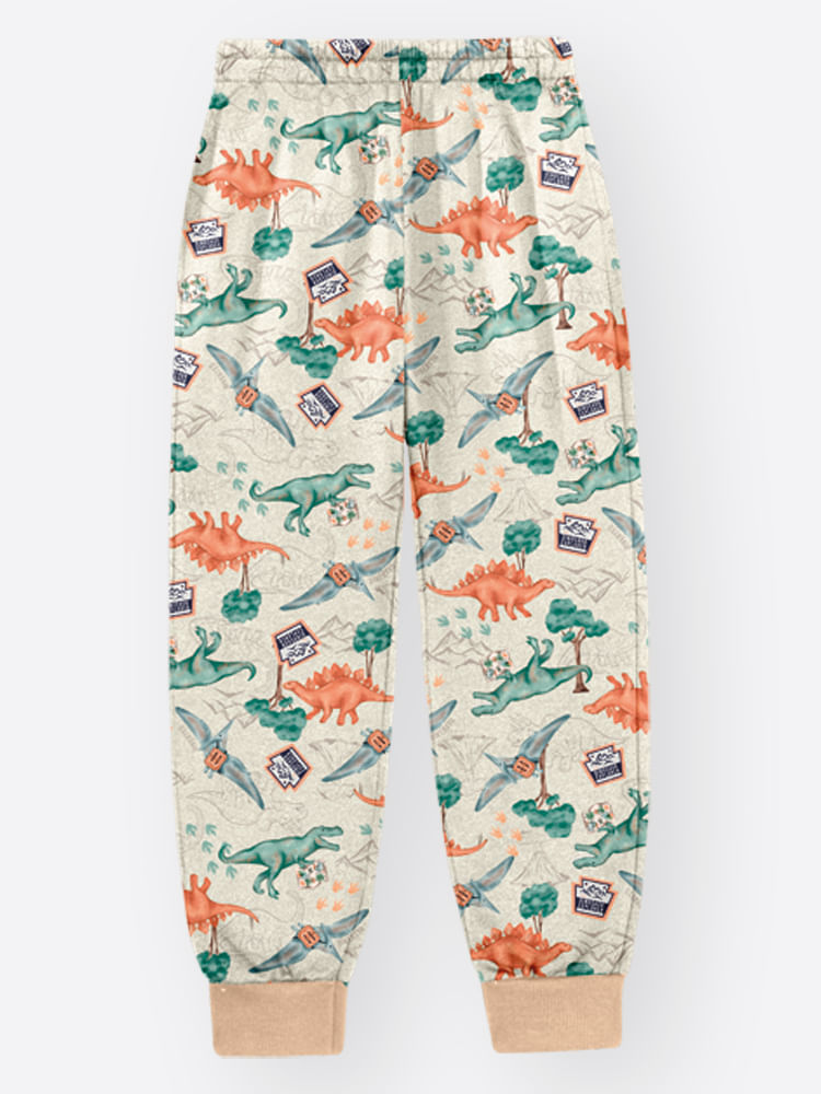 Pijama de Inverno Infantil Menino Dino World Divertto CINZA CROMIO