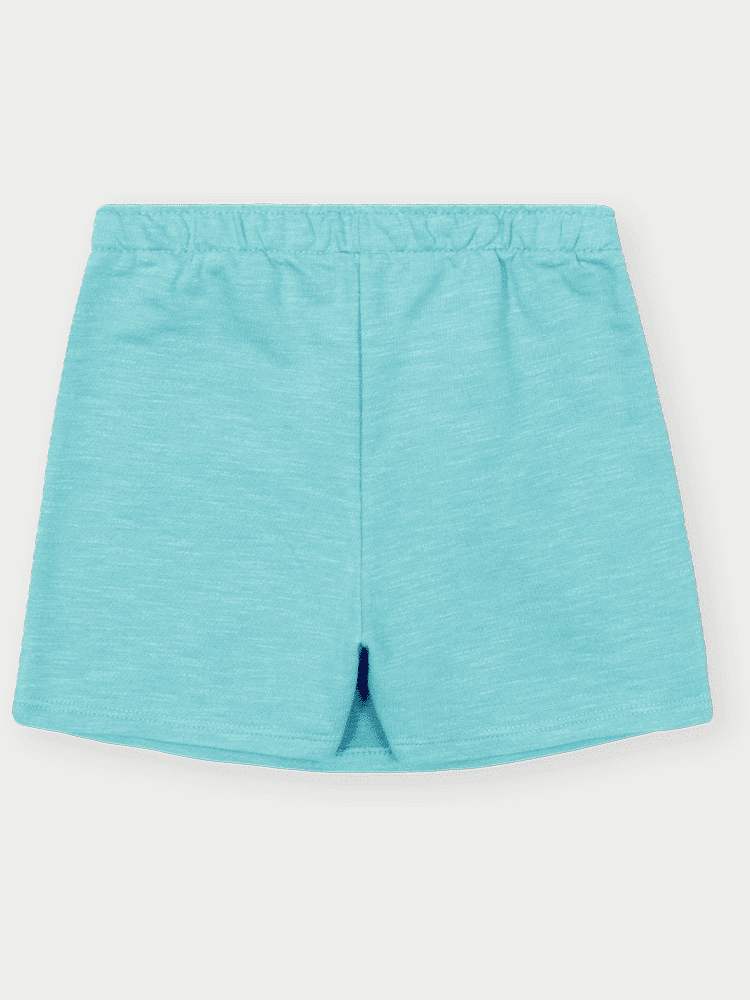 Conjunto Infantil Menina Raposa Listrada Menta Abrange