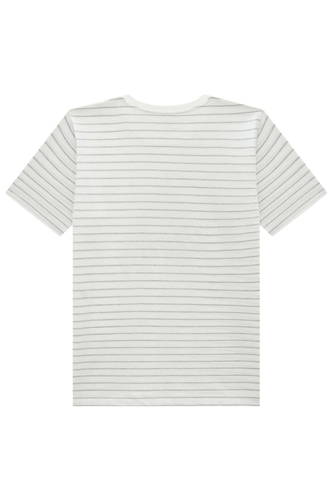 Camiseta em malha pontilhada 96377 Johnny Fox Teen Menino Camiseta em malha pontilhada 96377 Johnny Fox Teen Menino