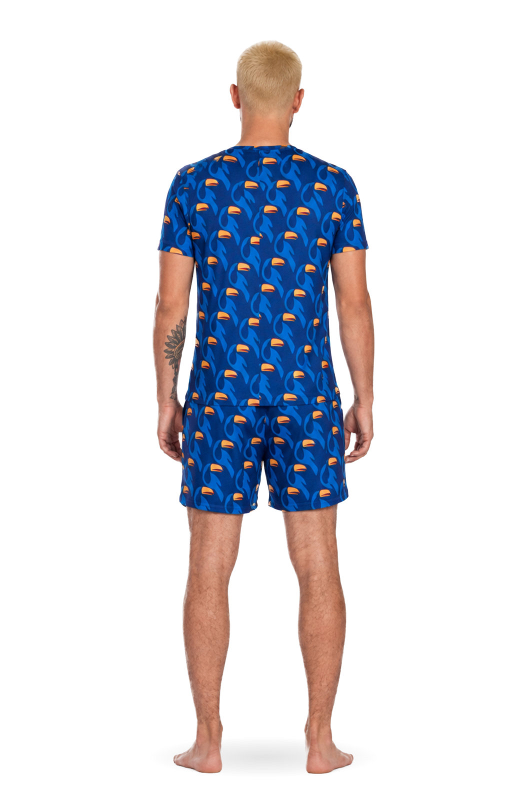 Pijama Masculino Adulto Gola V Estampado Tucanos Rapport Vetor