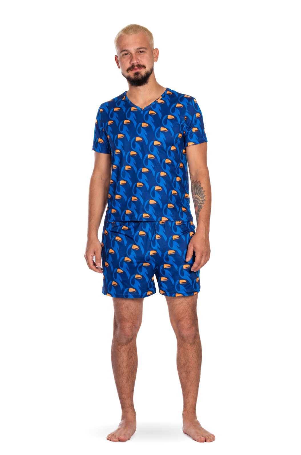 Pijama Masculino Adulto Gola V Estampado Tucanos Rapport Vetor