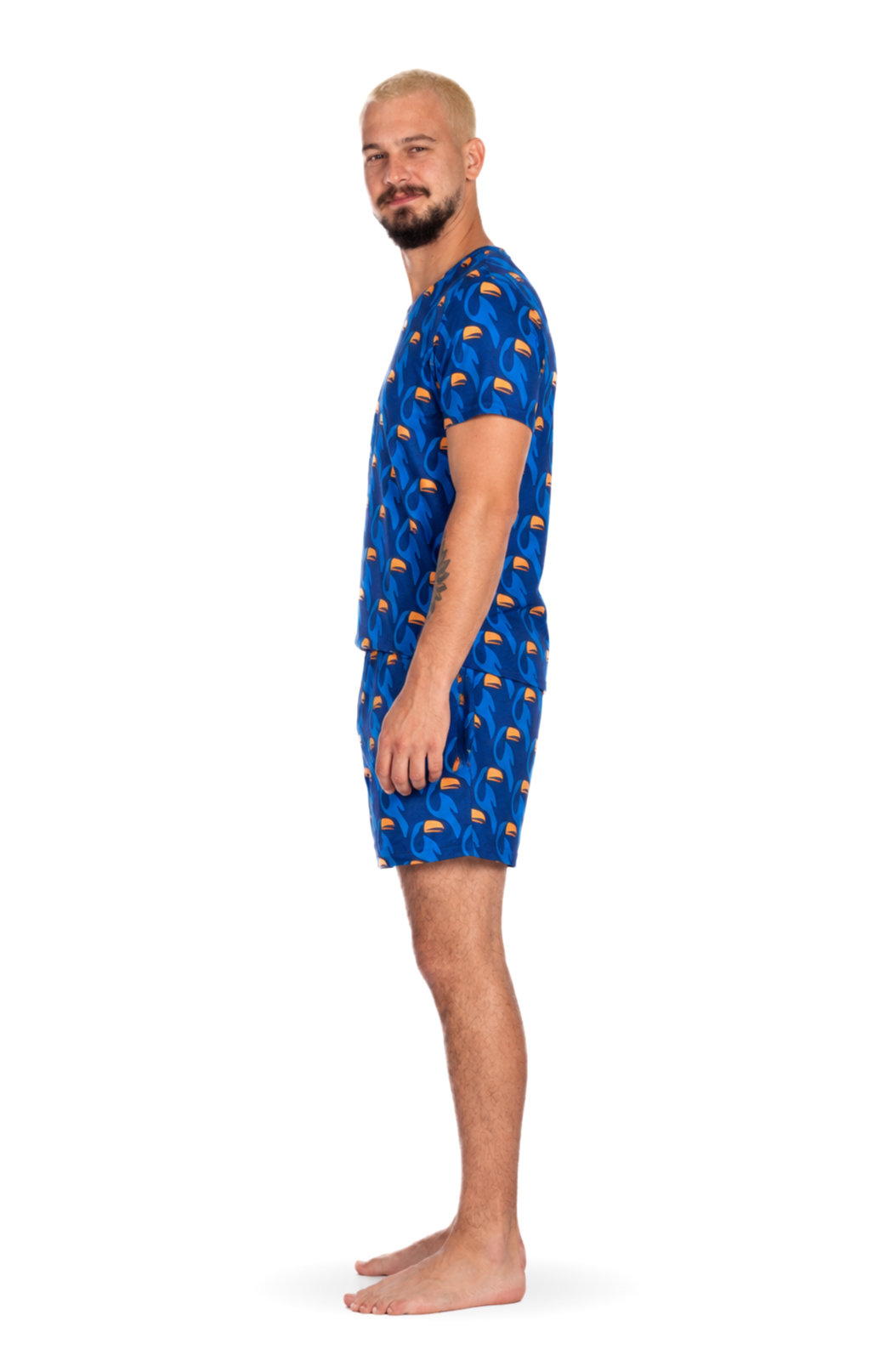 Pijama Masculino Adulto Gola V Estampado Tucanos Rapport Vetor