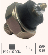 OLP13032 - INT. OLEO CAM/ ONIBUS C/ MOTOR MWM 6 CIL. - PC