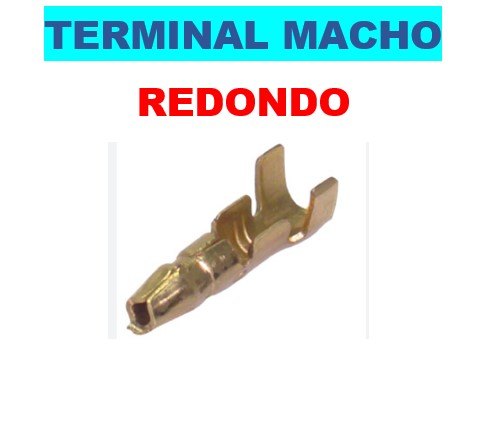 ISO1900029 - TERMINAL MACHO REDONDO COM 50 UNIDADES - VALOR UNITARIO - PC
