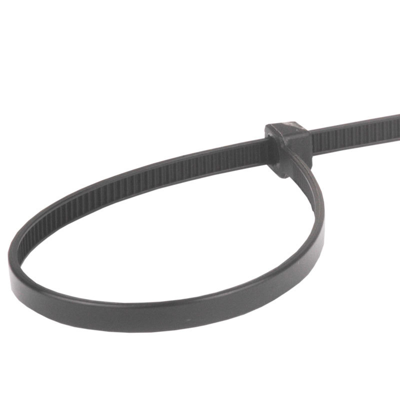 AMS80200P - ABRACADEIRA NYLON 20 CM PRETA (EMB. COM 100 PECAS - VALOR DO CENTO) - CT