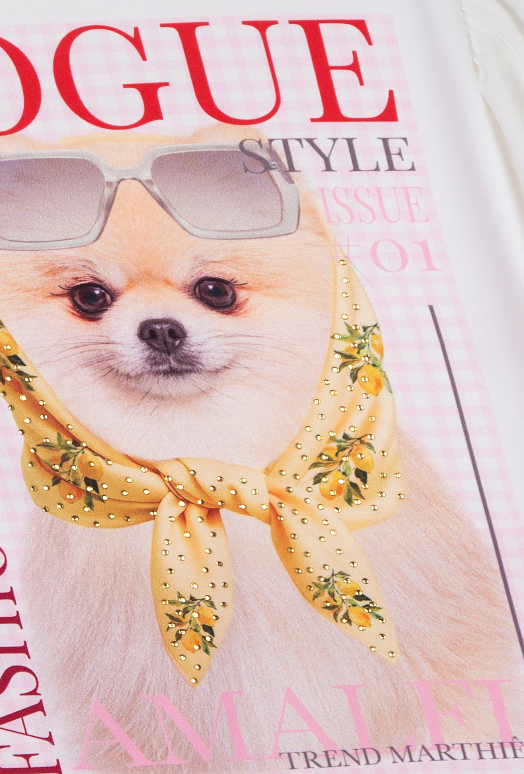 Conjunto Dogue com legging ciclista