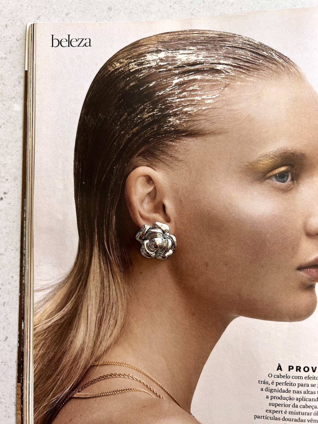 Brinco Flor CC Prata