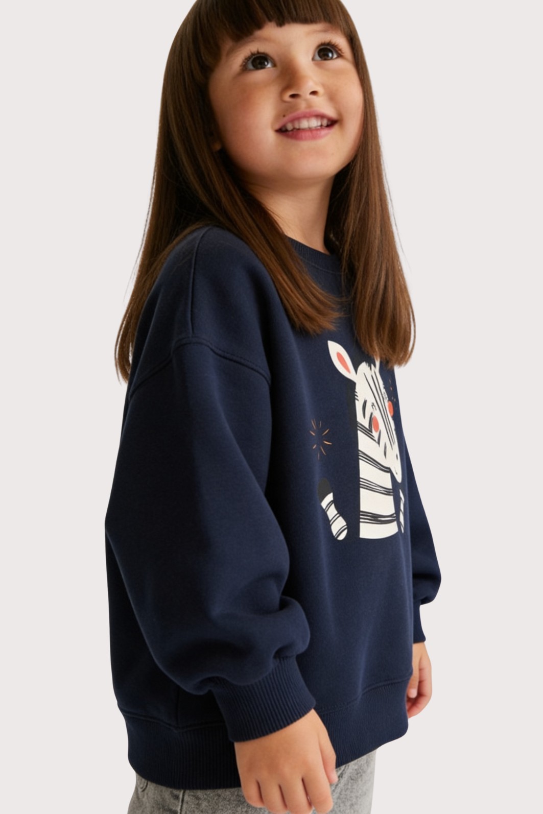 Blusão Infantil Moletom Encorpado Azul Marinho Zebra Feliz