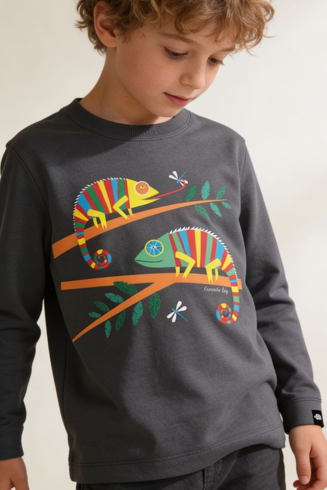 Camiseta Infantil Manga Longa Algodão Toque Macio Cinza Chumbo Camaleões Camiseta Infantil Manga Longa Algodão Toque Macio Cinza Chumbo Camaleões