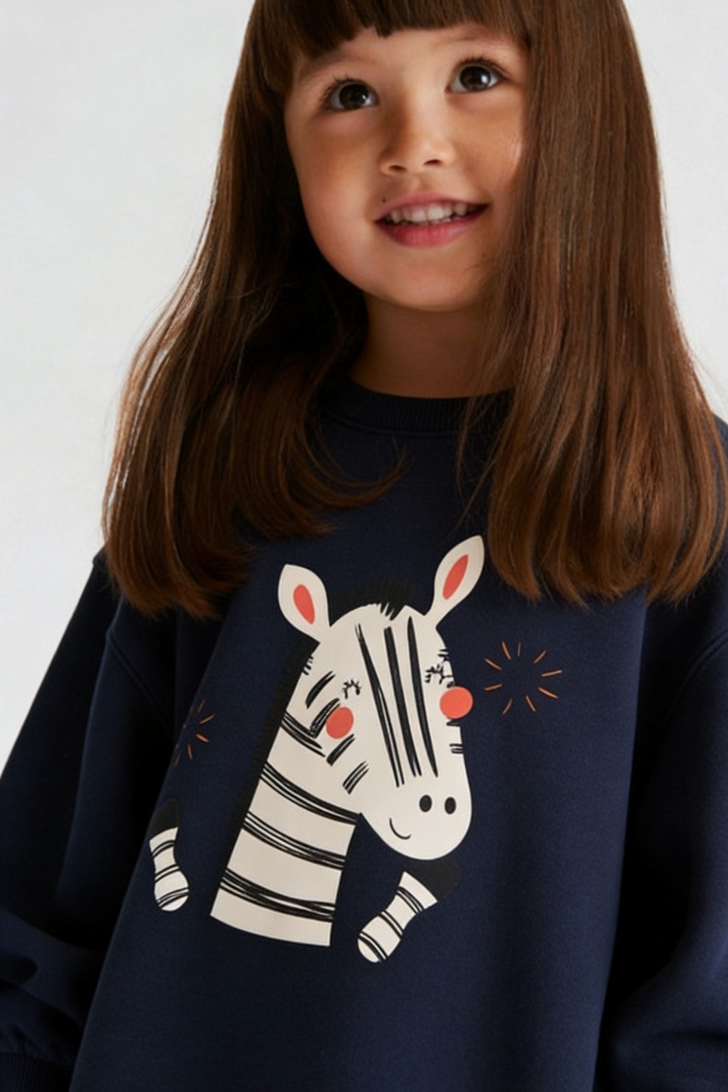 Blusão Infantil Moletom Encorpado Azul Marinho Zebra Feliz