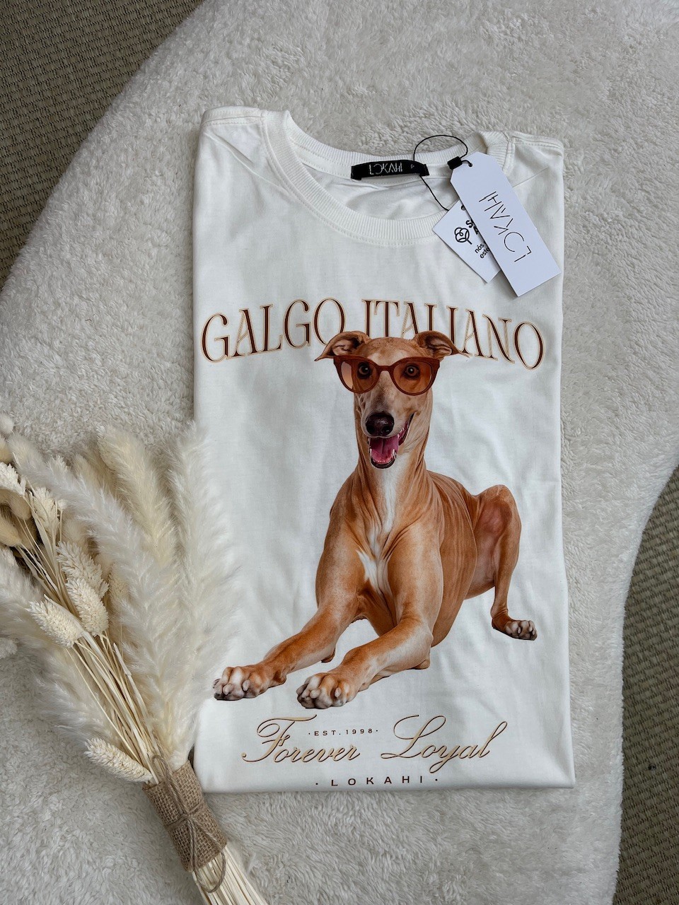 T-SHIRT GALGO ITALIANO - OFF WHITE T-SHIRT GALGO ITALIANO - OFF WHITE