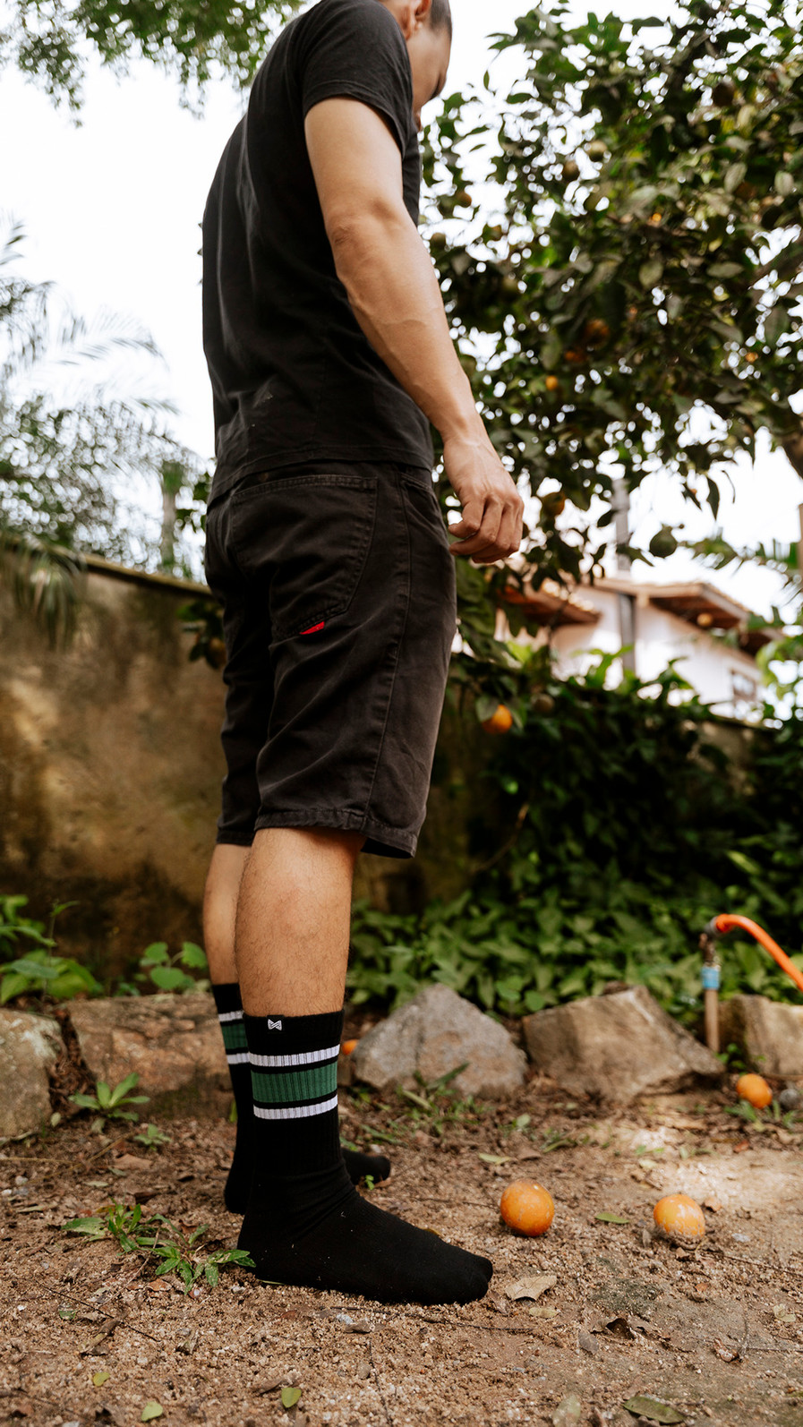 Meia Esportiva Norden Stripe Preto e Verde Meia Esportiva Norden Stripe Preto e Verde