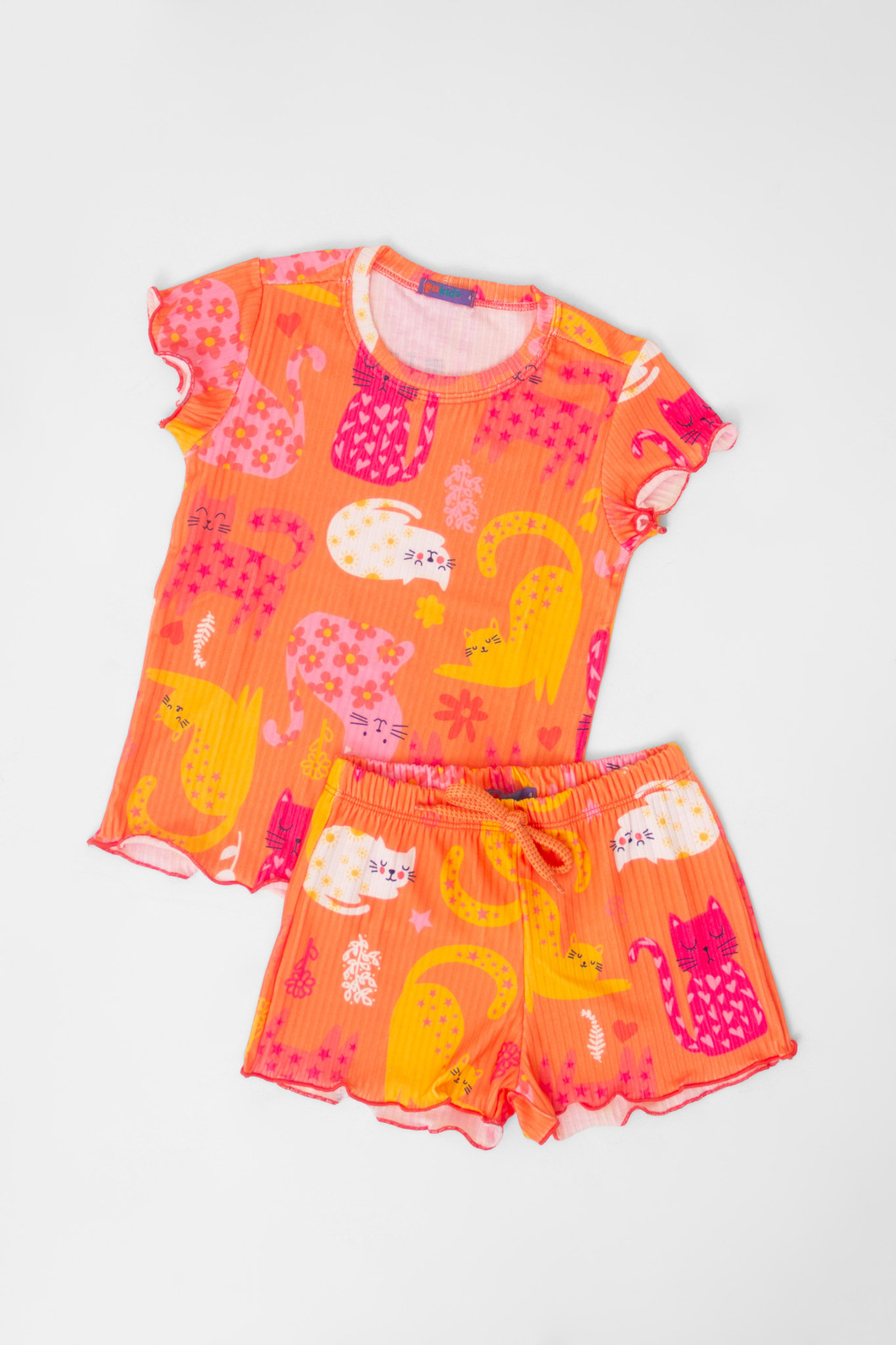 CONJUNTO MENINA BLUSA E SHORTS GATINHOS CONJUNTO MENINA BLUSA E SHORTS GATINHOS