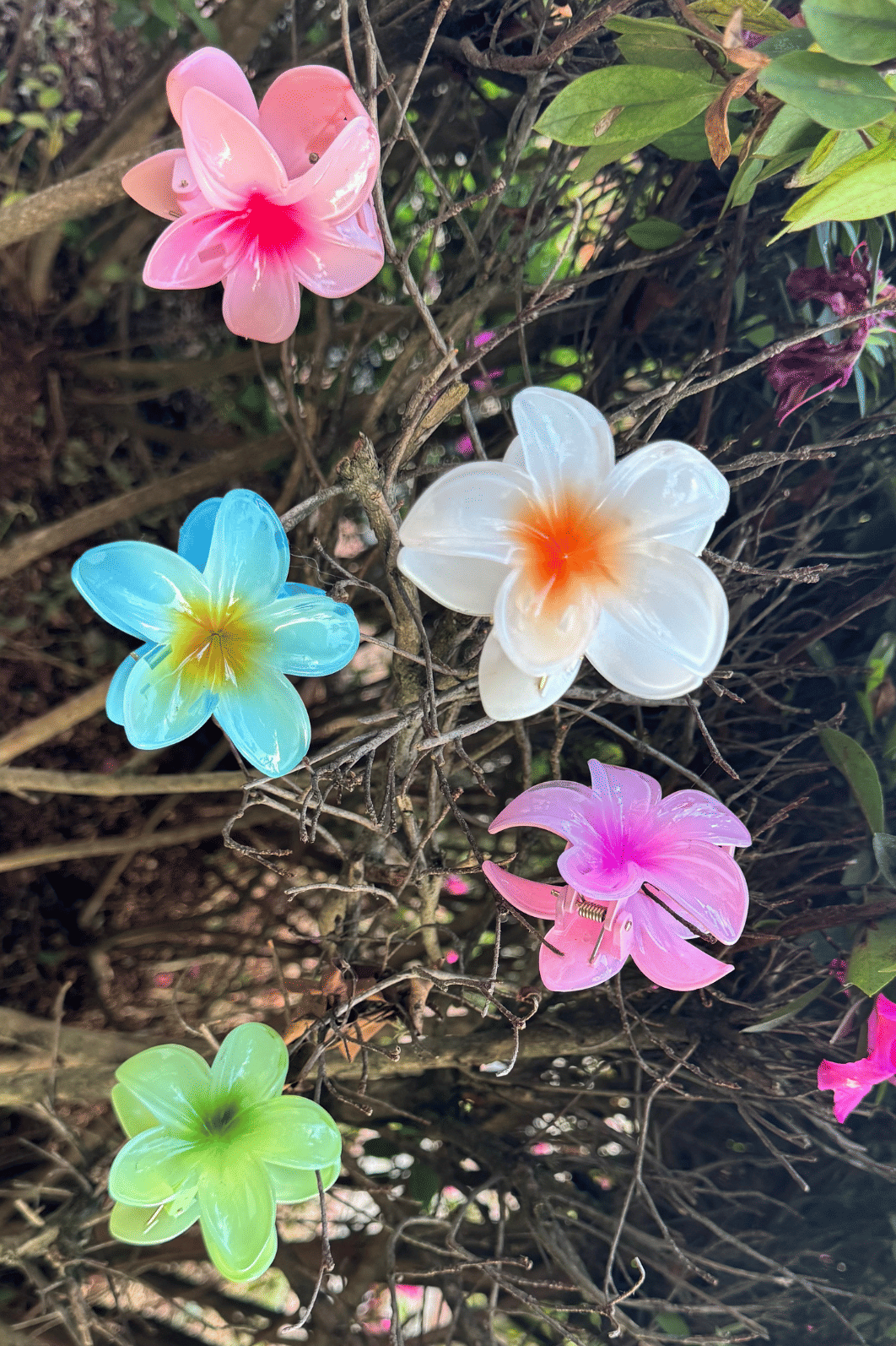 Mimo Presilha Flor Mimo Presilha Flor