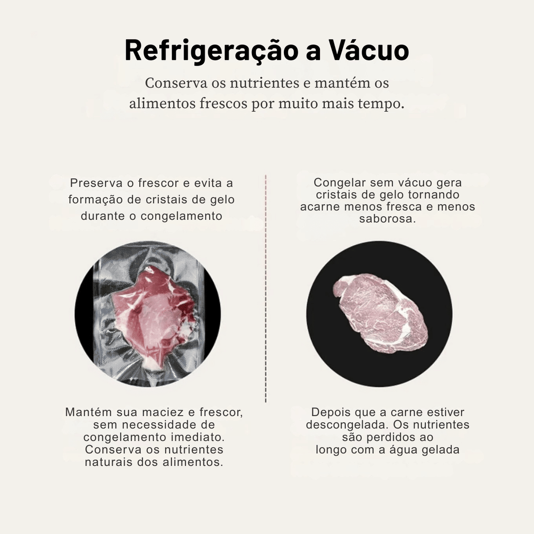 Máquina Seladora a Vácuo Alimentos 110W Bivolt + 10 Sacos Brinde