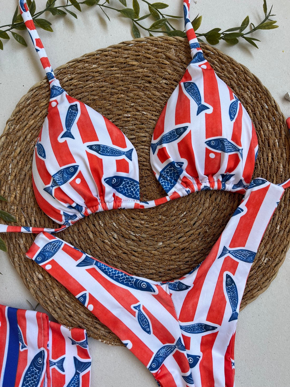 Biquíni Sardinha Cortininha e Asa delta