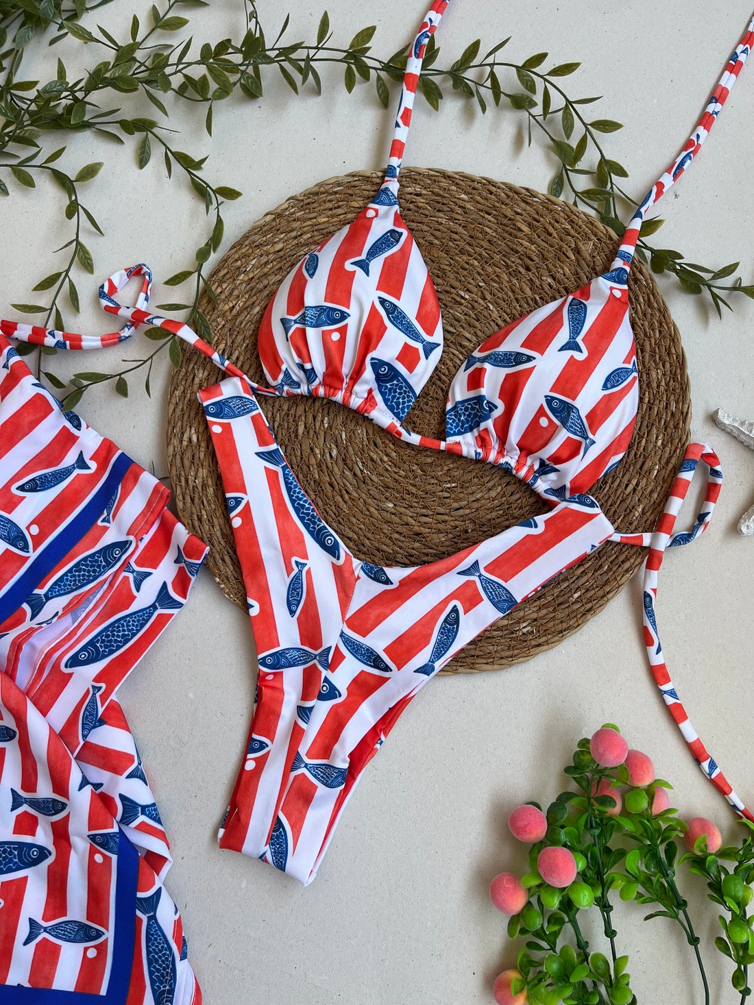 Biquíni Sardinha Cortininha e Asa delta