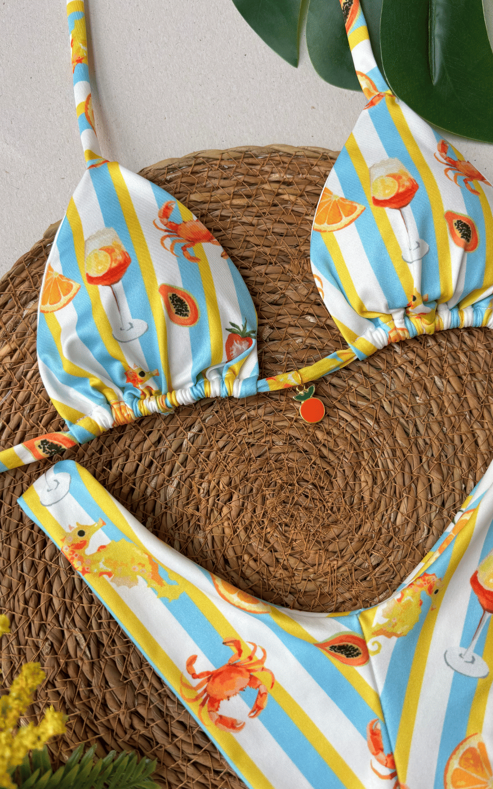 Biquíni Gaivota Cortininha e Asa delta Biquíni Gaivota Cortininha e Asa delta