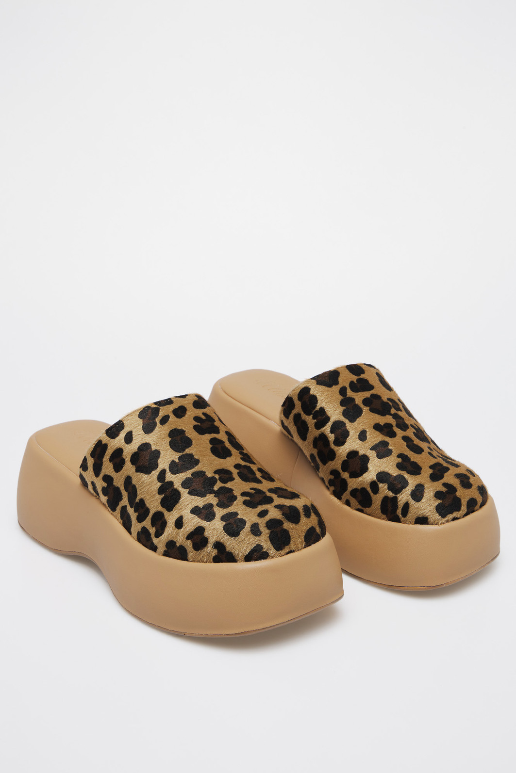 Mule Rebeca Onça Mule Rebeca Onça