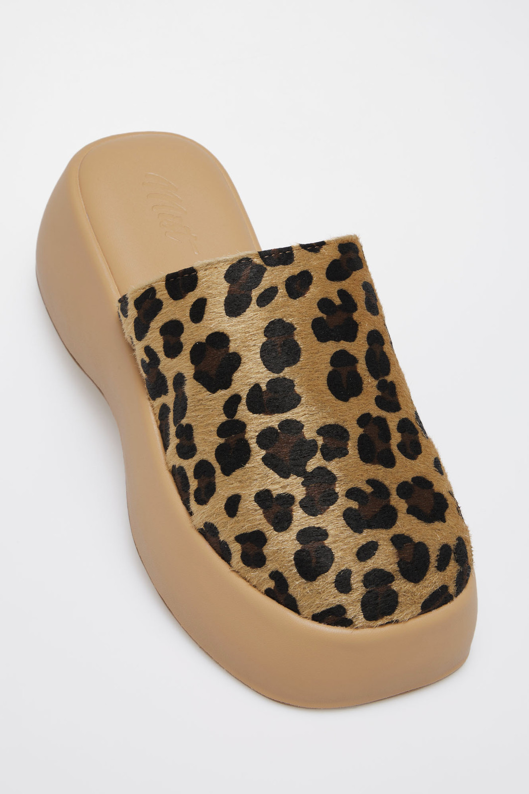 Mule Rebeca Onça Mule Rebeca Onça